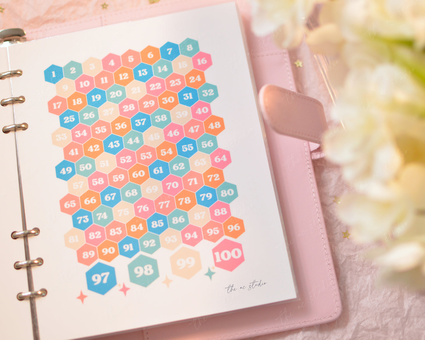 100 Envelope Savings Challenge Binder
