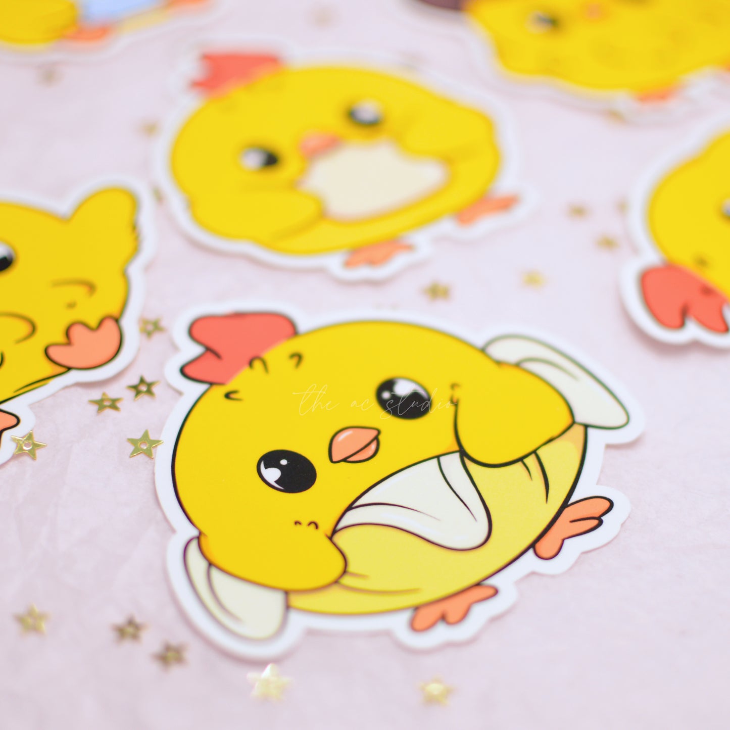 ChickAhn Character Sticker