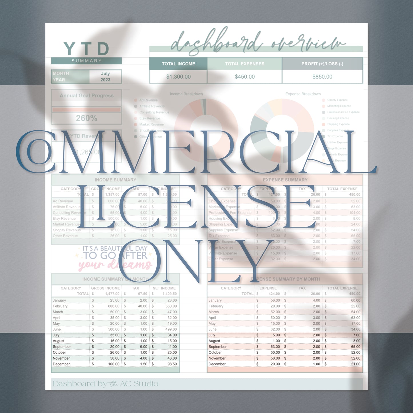 Commercial License for Small Business Revenue and Expense Dashboard